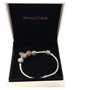 Pandora Charm Sterling Silver Bracelet
